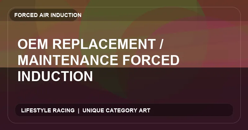 OEM Replacement / Maintenance Forced Induction
